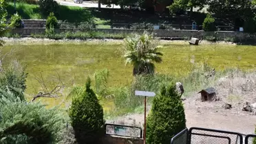 Çobandede Mini Hayvanat Bahçesi ve Kuş Cenneti Yeniden Hizmete Açılmak İstiyor
