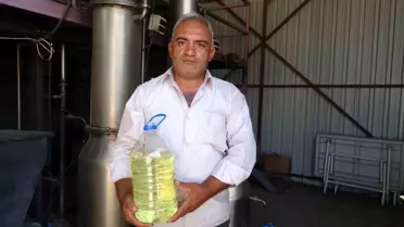 Isparta'da Lavanta Yağı Üretimi Artıyor