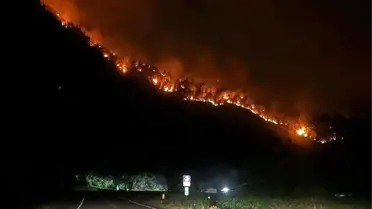 ABD'nin Colorado eyaletindeki orman yangında 1 kişi hayatını kaybetti