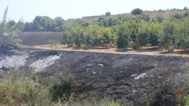 Antalya'da sazlık alanda başlayan yangın kontrol altına alındı