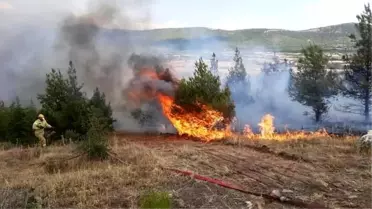 Denizli'nin Bekilli ilçesinde çıkan yangın kontrol altına alındı