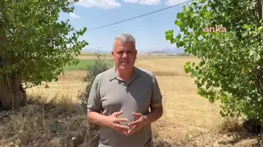 CHP Milletvekili Ayhan Barut, Ayçiçeği İthalatına Tepki Gösterdi