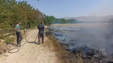 Malatya'da çıkan anız ve bahçe yangınları söndürüldü