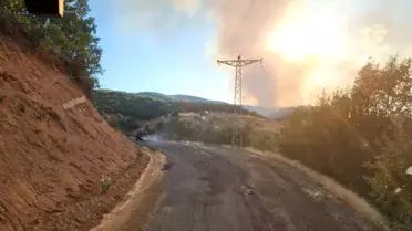 Bingöl'ün Genç ilçesinde orman yangını çıktı