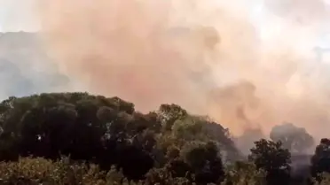 Edirne'de anız yangını ormana ve ayçiçeği tarlasına sıçradı