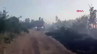 Bingöl'de Orman Yangını Kontrol Altına Alındı