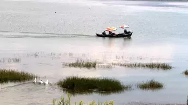 Eğirdir Gölü'nde Sivrisinek İstilası