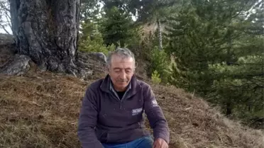 Çorum'un İskilip İlçesi'nde Hayvanlarını Otlatmak İçin Araziye Çıkan Adamın Cesedi Bulundu