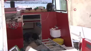 Teknedeki buzlukta cesedi çıkmıştı: Boğularak öldürülmüş İzmir'de buzluktan çıkan cesetle ilgili 3 gözaltı