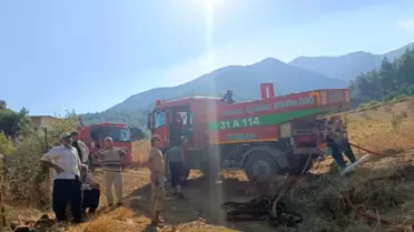 Kırıkhan'da Ormanlık Alanda Çıkan Yangına Havadan ve Karadan Müdahale Başlatıldı