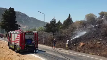 Efes Antik Kenti Girişi Yakınlarında Yangın Çıktı