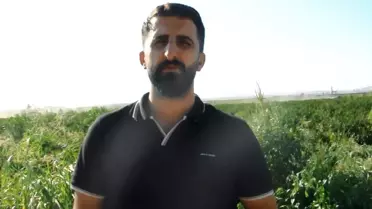 Manisalı çiftçilerden ücretsiz kavun-karpuz dağıtımı