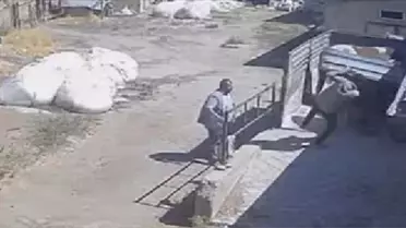 Boğanın saldırısından kaçan besici güvenlik kamerasına yansıdı