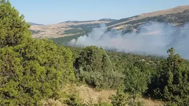 Ilgın'da çıkan yangın söndürüldü, 2 kişi gözaltına alındı