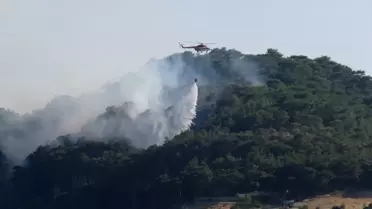 Çanakkale'de Orman Yangınına Havadan ve Karadan Müdahale