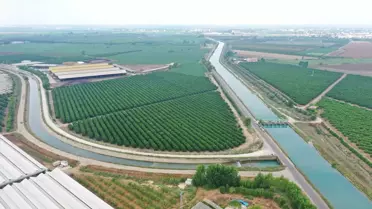 Çukurova'da Sulama Suyu Yetersizliği Riski
