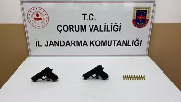 Çorum Alaca'da Jandarma Bomba Arama Köpeği İle Silah Ele Geçirildi