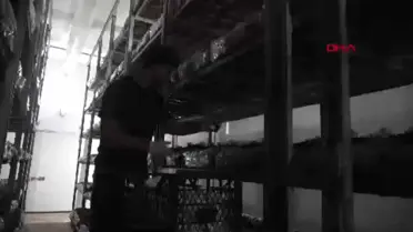 Isparta'da Mantar Üretimi Yaygınlaşıyor