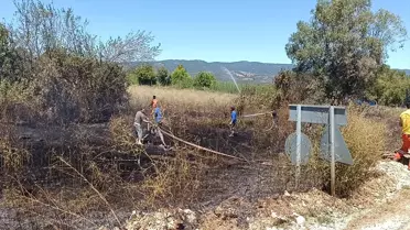 Bilecik'te Arapdede Köyünde Yüksek Gerilim Hattı Yangını Kontrol Altına Alındı
