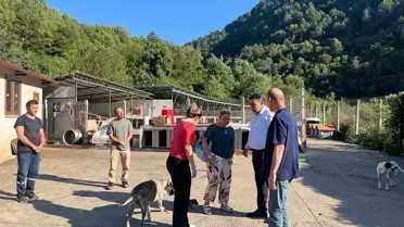 Devrek Belediye Başkanı Sokak Hayvanları Geçici Bakımevi'ni ziyaret etti