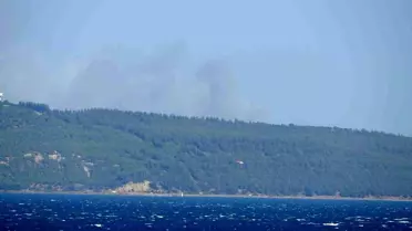 Çanakkale'nin Eceabat ilçesinde orman yangını çıktı