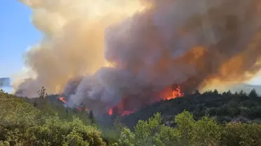 Çanakkale'de Orman Yangınına Havadan ve Karadan Müdahale