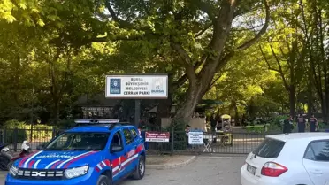 Bursa'da Orman Yangınlarına Karşı Ateş Yakma Yasaklandı