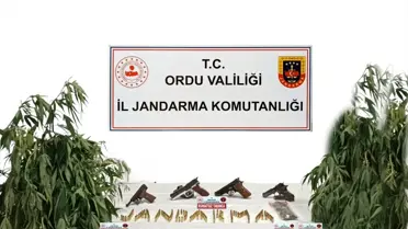 Ordu'da silah kaçakçılığı ve uyuşturucu operasyonunda 2 şüpheli yakalandı