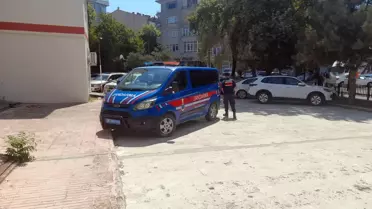 Uzunköprü'de vahşi depolama alanında ölü köpekler bulundu, 4 şüpheli gözaltına alındı