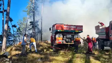 Karabük'te çıkan yangınlara müdahale devam ediyor