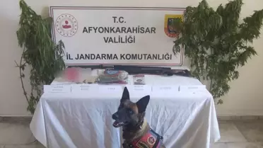 Afyonkarahisar'da uyuşturucu operasyonu: Şüpheliye adli işlem uygulandı