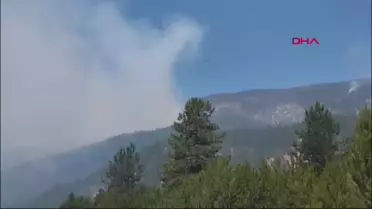 Karabük'te çıkan orman yangını kontrol altına alındı