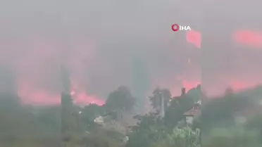 Manisa Büyükşehir Belediyesi yangın bölgesinde mücadele ediyor