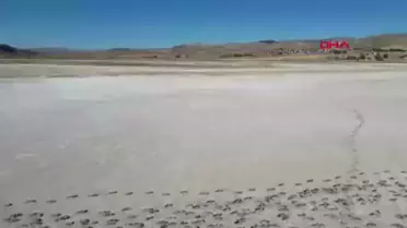 Sivas'ta Bingöl Gölü tamamen kurudu