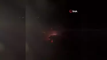 Tunceli'deki yangından 150 dönümlük alan etkilendi