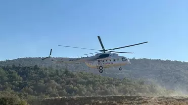 Uşak'ta Orman Yangını: Havadan ve Karadan Müdahale Devam Ediyor