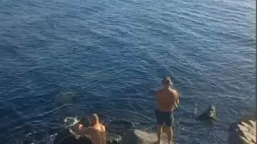 İstanbul Avcılar'da Yüzen Vatandaşlar Yunus Balığıyla Karşılaştı