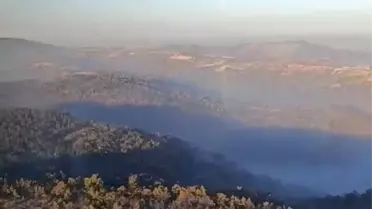 Manisa'da Orman Yangını 5. Günde Devam Ediyor