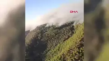 Manisa'da Orman Yangını 5. Günde Sürüyor