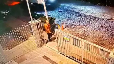 İstanbul Fatih'te Zihinsel Engelli Şahıs Sokak Köpeklerinin Saldırısında Hayatını Kaybetti