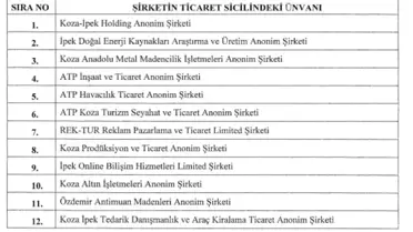 HAZİNE'ye ait 12 şirketin hisseleri Türkiye Varlık Fonu'na aktarılıyor