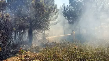 Afyonkarahisar'da Orman Yangını