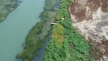 Seyhan Nehri'nde Kirlilik Artıyor