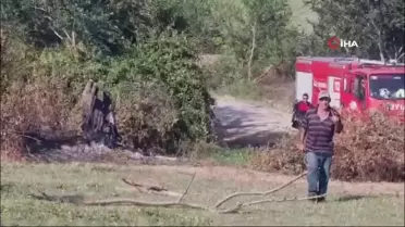 Sinop'ta çıkan yangın paniğe neden oldu