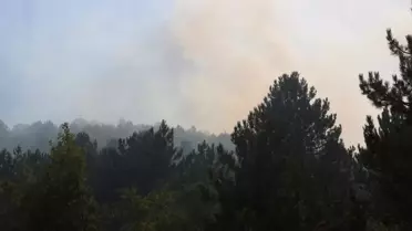 Afyonkarahisar Valiliği Orman Yangını Sonrası Uyarıda Bulundu