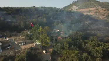 Bursa'da barakada çıkan yangın zeytin ağaçlarına sıçradı