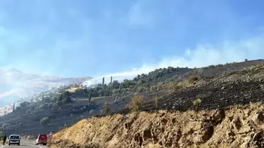Malatya'da otluk alanda başlayan yangın orman ve bahçe alanlarına sıçradı
