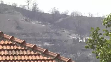 Manisa'da çıkan yangınlar hasara yol açtı