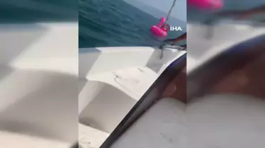 Yalova'da deniz simidiyle açıklara sürüklenen çocuk böyle kurtarıldı