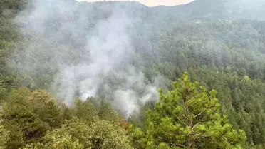 Karabük'ün Ovacık ilçesinde orman yangını